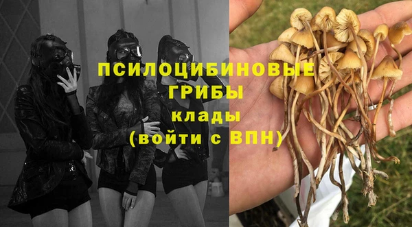 apvp Армянск